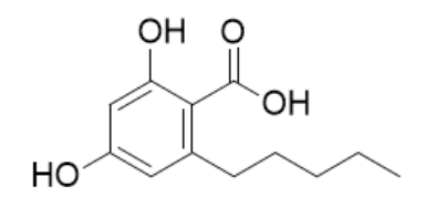 橄榄醇酸 491-72-5 