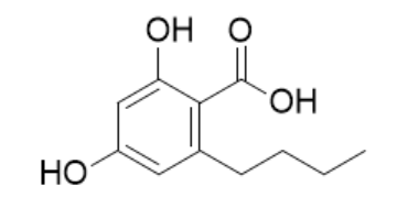 2,4-二羟基-6-丁基苯甲酸 173324-41-9